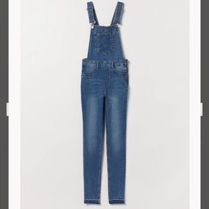 Denim Overalls